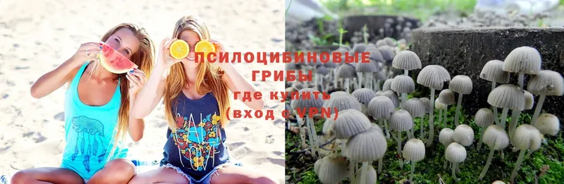 Псилоцибиновые грибы MAGIC MUSHROOMS  Александров 